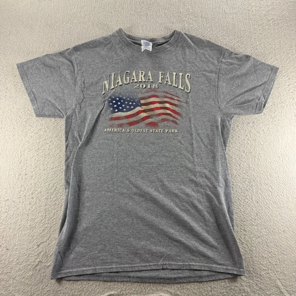 Delta T-Shirt Mens Medium Gray Niagara Falls 2018 USA Flag Graphic Steetwear - Picture 1 of 8